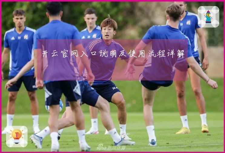 开云官网入口说明及使用流程详解