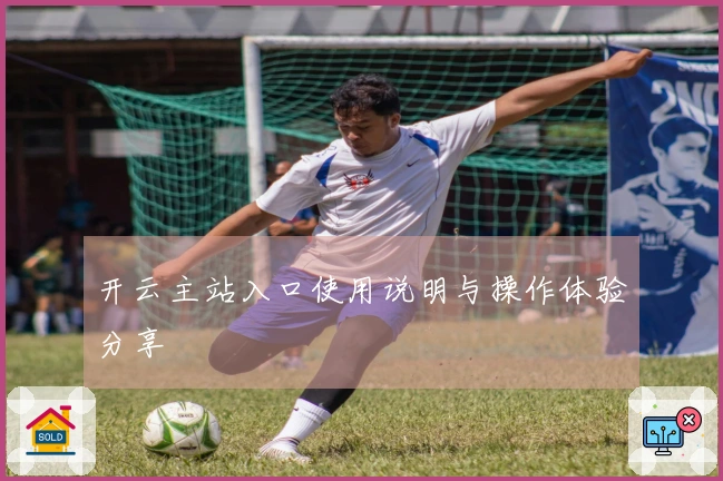 开云主站入口使用说明与操作体验分享